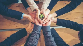 会社の仕組みとは？組織の形や会社形態ごとの違いを解説！