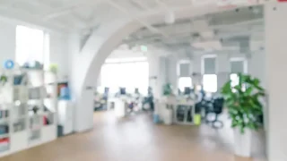 ハラスメントには種類がある？法令で定義されるものから派生まで解説
