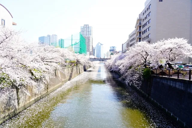 東京都目黒区の格安バーチャルオフィス一覧｜住所利用・法人登記OK【2026年】