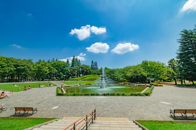 東京都世田谷区の格安バーチャルオフィス一覧｜住所利用・法人登記OK